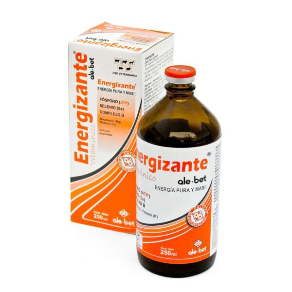 ENERGIZANTE – ALE-BET – 250ML