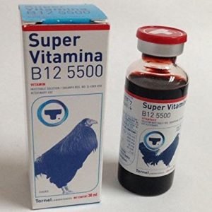 VITAMINA B12-6000-B15 – ECONOVET – 100ML