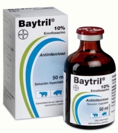 BAYTRIL 10% – BAYER – 25ML