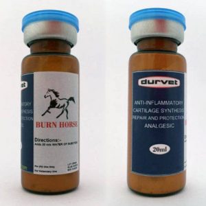 BURN HORSE – 15 ML