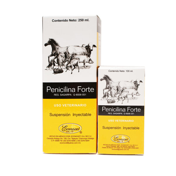 PENICILINA FORTE – ECONOVET – 100ML