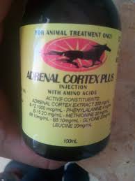 Adrenal Cortex plus