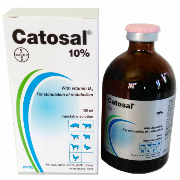 catosal injection