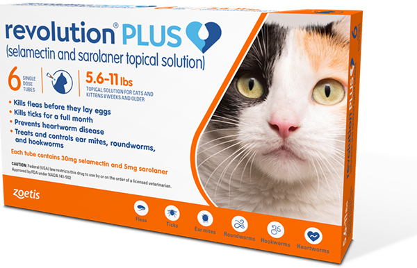 revolution plus for cats