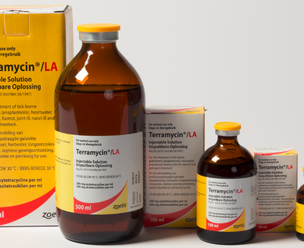 terramycin antibiotic