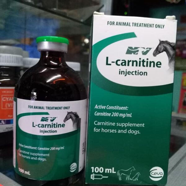 Injectable l Carnitine