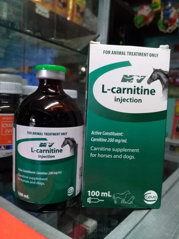 Injectable l Carnitine | Abbey Veterinary Supply