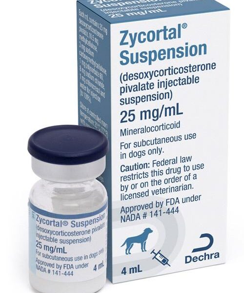 Zycortal for Dogs