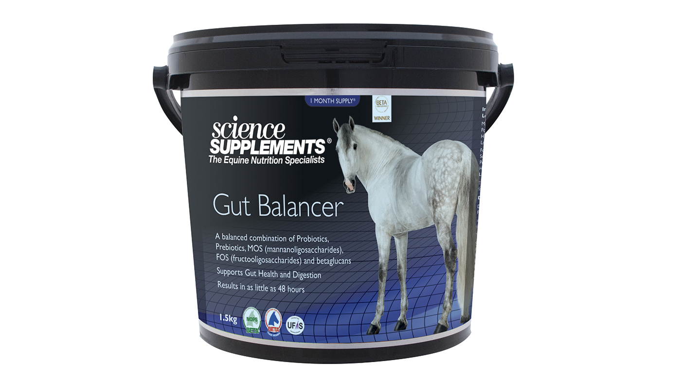 Horse Digestion Supplements