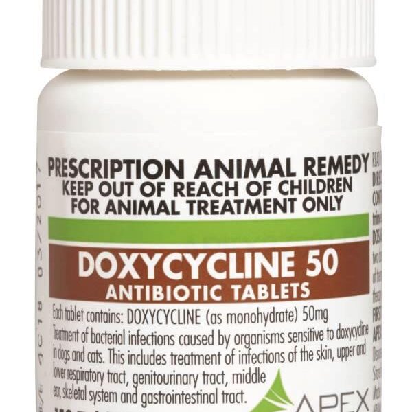 Doxycycline For Dogs
