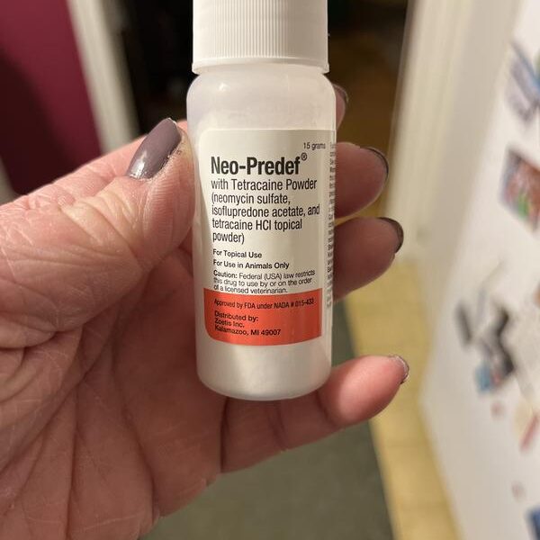 neo-predef powder