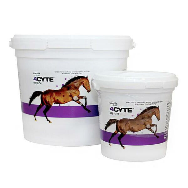 4CYTE Equine Granules