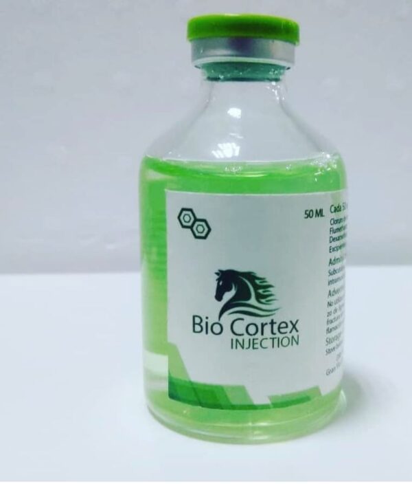 bio-cortex-injection