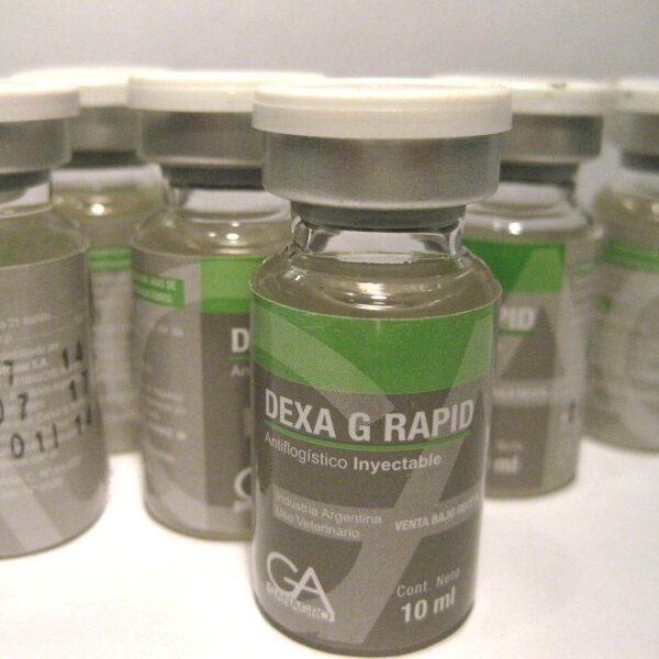 Dexa G Rapid – 10 ml