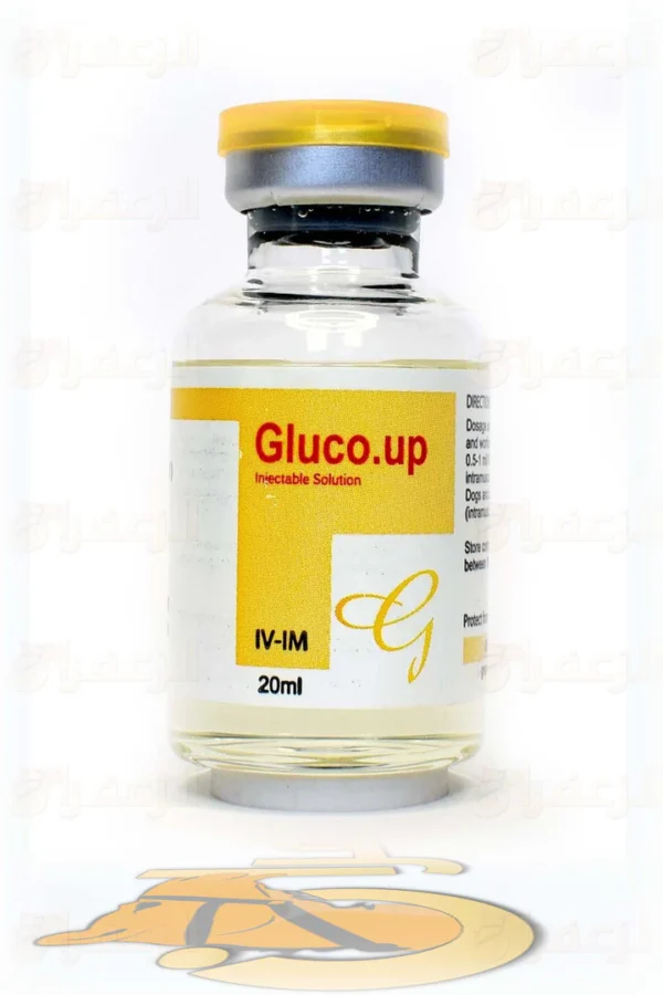 Gluco Up – 20 ml